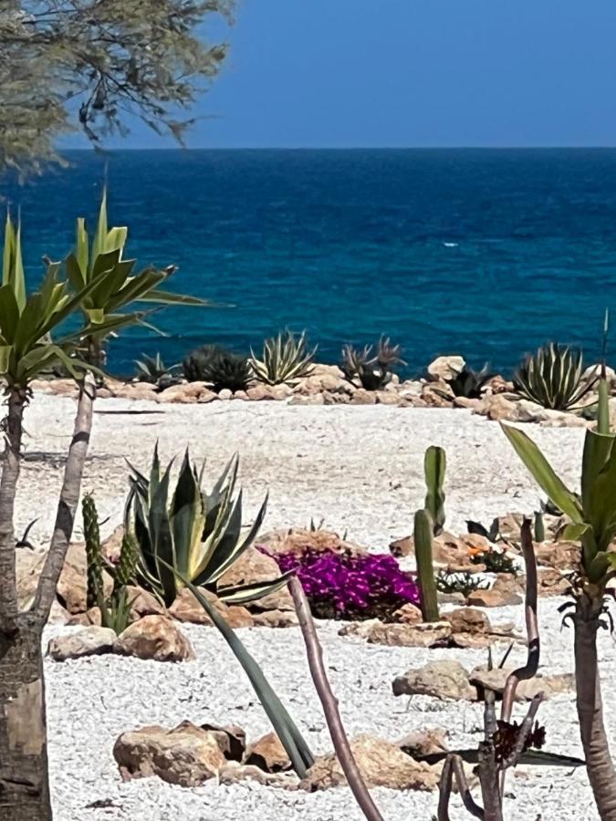 Masseria Ostuni Mare Agri Resort Exteriör bild